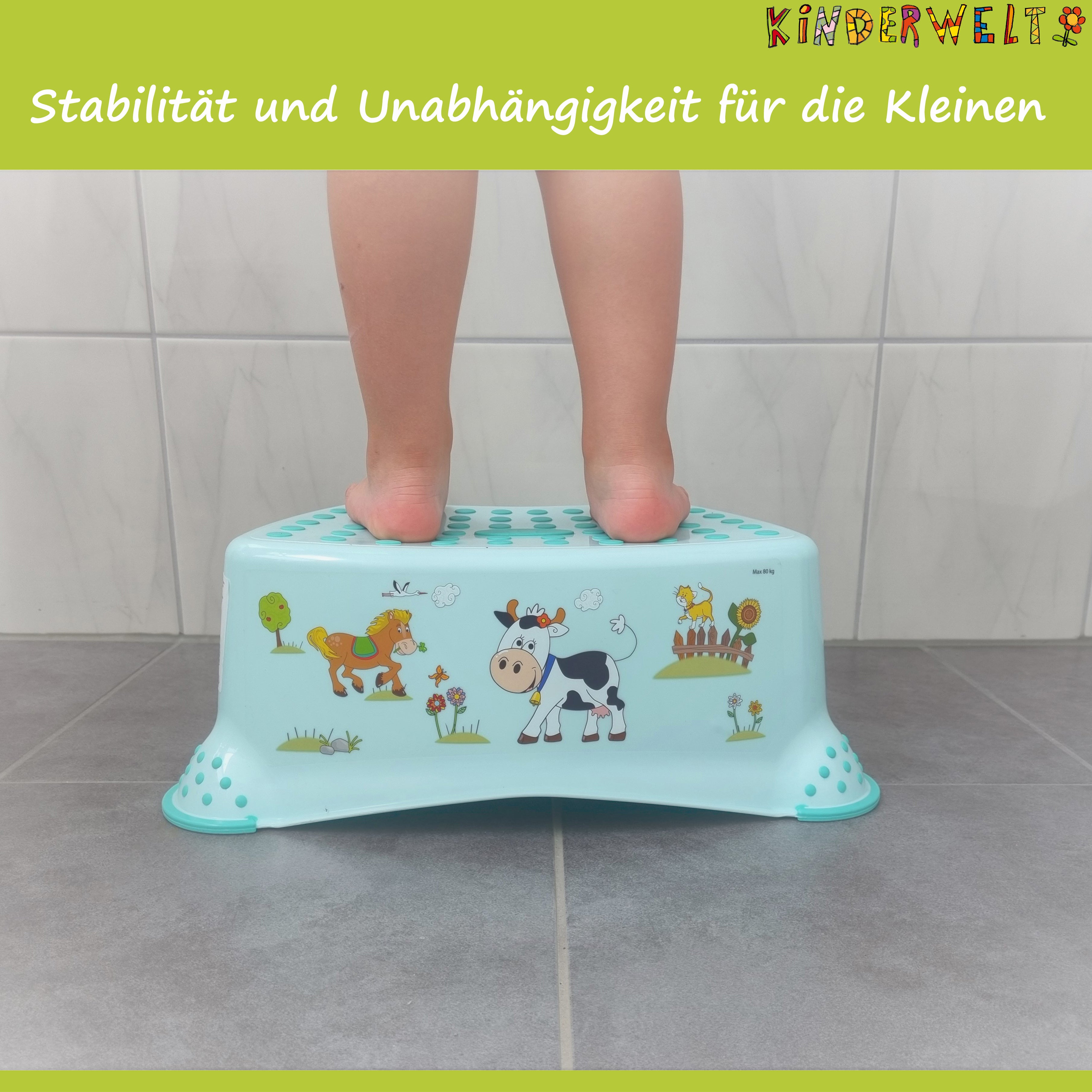 3er Set Funny Farm aquamarin: Kindertopf + WC Aufsatz + Hocker mit Anti-Rutsch-Funktion